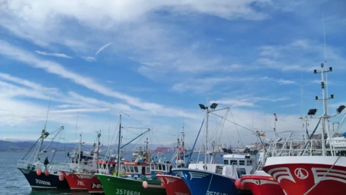 Comienza la costera del bocarte en Cantabria con buenas expectativas