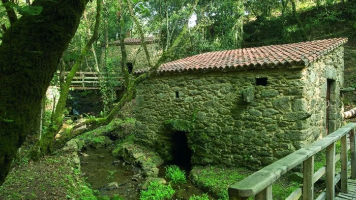 RUTA DE LOS MOLINOS DEL RÍO MEDIO: UN TESORO ESCONDIDO EN GALICIA