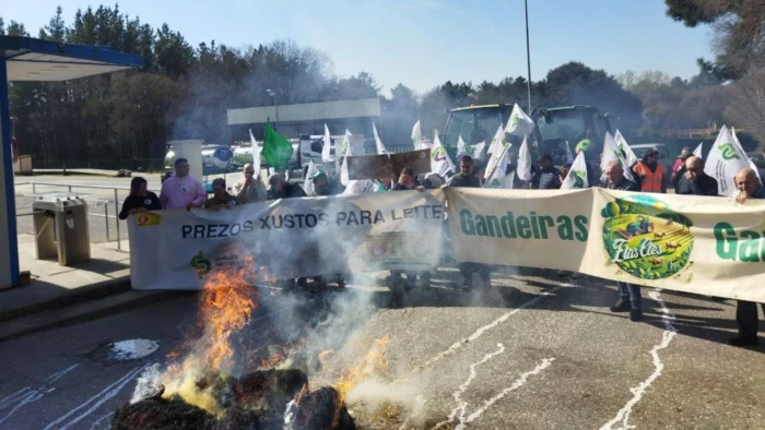 FUERTE PROTESTA DE GANADEROS GALLEGOS ANTE LA BAJADA DE PRECIOS DE LA LECHE