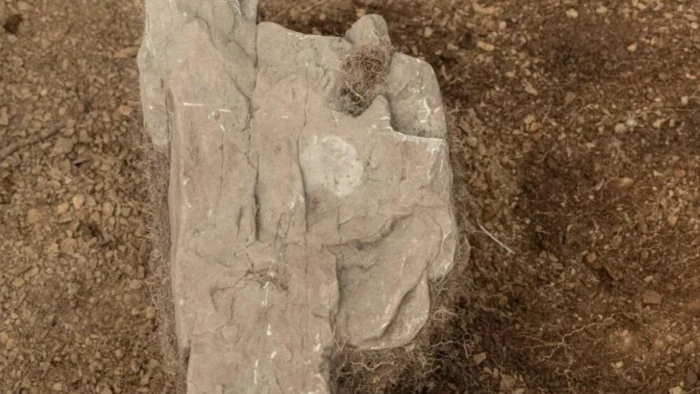 Pedro Sarmiento dej&oacute; una moneda bajo tierra en 1584 y arque&oacute;logos la encuentran en la ciudad maldita de la hambruna