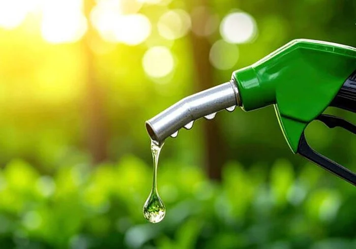 COMBUSTIBLES RENOVABLES: UN ESTUDIO CONFIRMA SU NEUTRALIDAD DE EMISIONES DE CO₂