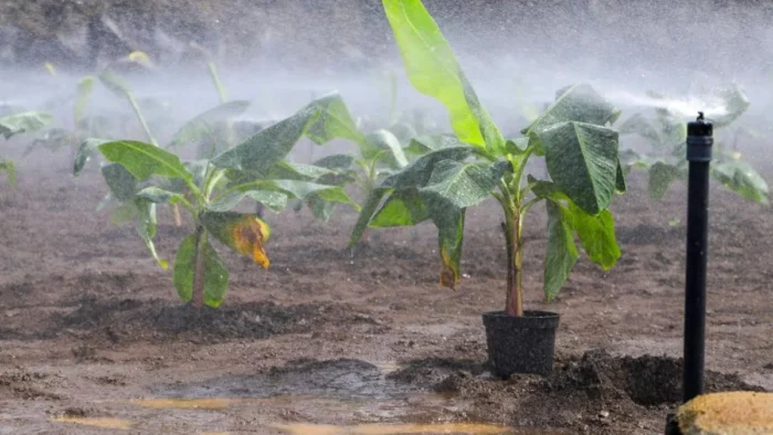 Anulada multa de 600.001 euros impuesta por el Gobierno canario por falta de pruebas