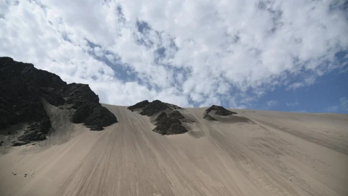 China Transforma Desiertos en Suelo Fértil con Bacterias y 59 Años de Investigación