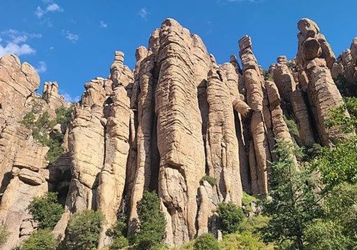 EL PAISAJE COMO ESTRATEGIA LITERARIA Y LA DEFENSA DE LOS PUEBLOS INDÍGENAS