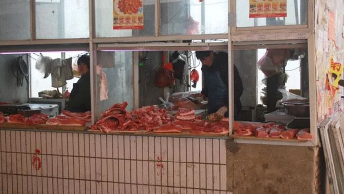 Siete perros robados en China para venderlos como carne huyen en grupo, recorren 17 kil&oacute;metros y regresan solos a casa tras varios d&iacute;as cruzando campos y carreteras