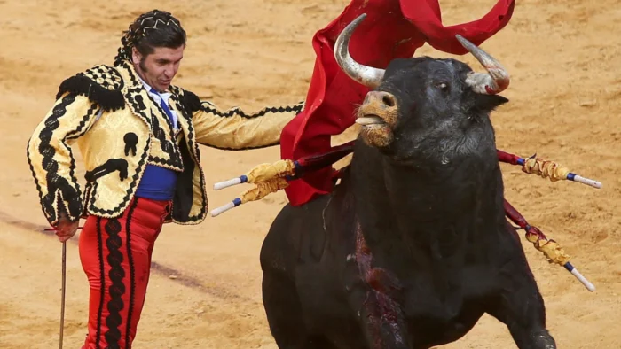REGRESO TRIUNFAL DE LOS TOROS A RONDA EN LA FERIA DE PEDRO ROMERO 2026