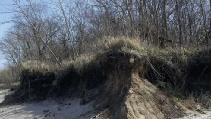 El féretro que atravesó 2.000 años de historia ha revelado un error en las dataciones por carbono 14 y vuelve a situar a la Princesa de Bagicz en el centro del debate