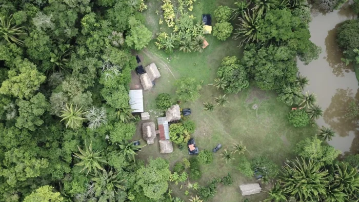 El Secreto Maya para Mantener el Agua Limpia Revelado