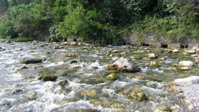 Los Ríos Más Cortos del Mundo: Un Vistazo a las Joyas Fluviales en Miniatura