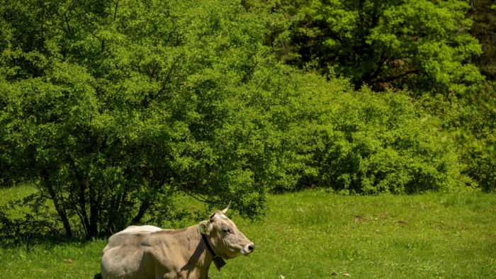 Cambio de hora en España: ¿Avanzamos o retrocedemos?