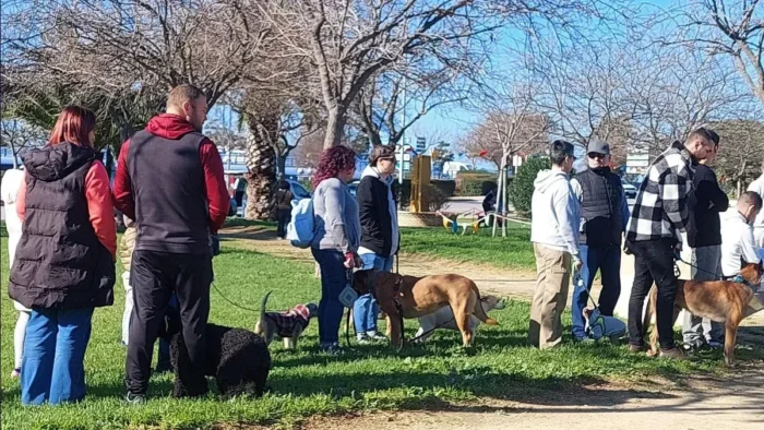 APLAZADA LA FESTIVIDAD DE SAN ANTÓN EN CHICLANA POR PREVISIÓN DE LLUVIAS