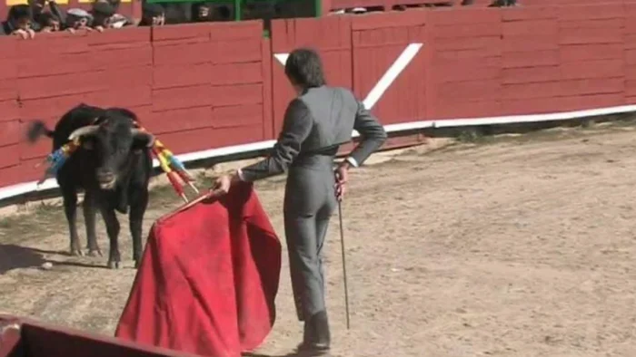 Castilla y León exime de sanción al Ayuntamiento de Salamanca por permitir torear a un menor