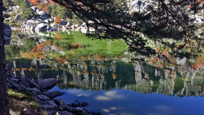 El oasis de naturaleza en Soria que esconde una cascada en un bosque de pino albar &uacute;nico en Europa