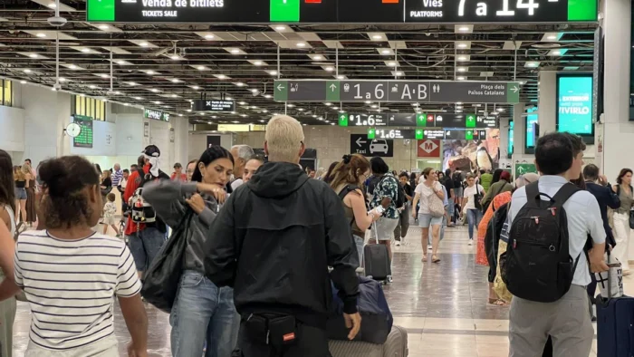 Trenes de alta velocidad: caída en la ruta Madrid-Barcelona en 2025