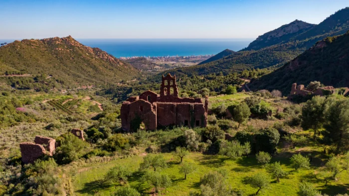 EL CONVENTO DEL DESIERTO DE LAS PALMAS: UN CASO ÚNICO EN LA HISTORIA