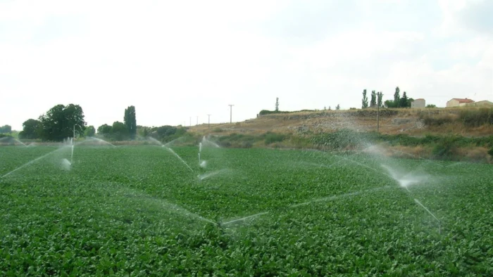 Campaña de Riego 2024 en Alto Aragón Comienza con Perspectivas Hídricas Favorables