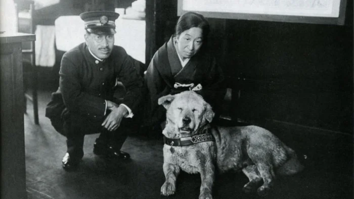 LA HISTORIA DE HACHIKO: EL PERRO QUE CONMOCIONÓ A JAPÓN Y AL MUNDO