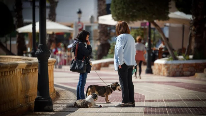 El censo de perros que mantiene limpias las calles de Ibiza: "Ayuda a que los amos seamos más cívicos"