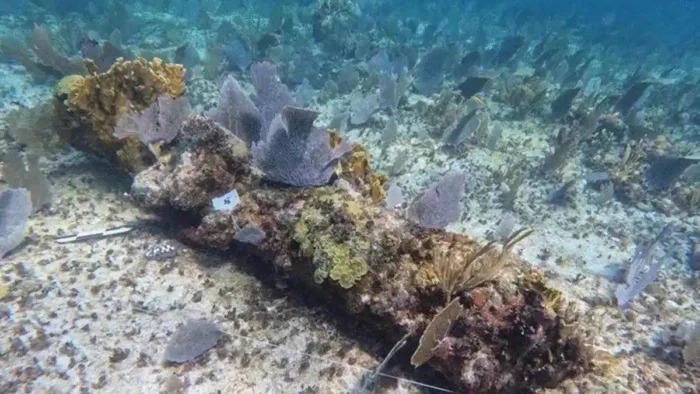 Un barco español apareció donde no tocaba en México y ahora saben por qué Ánimas de la Victoria acabó hundido