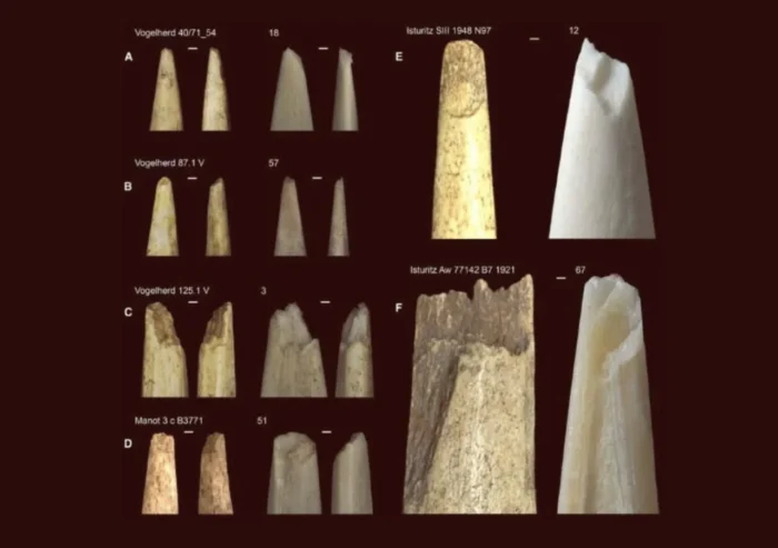&iquest;Usaban varias armas los primeros Homo sapiens? 191 disparos recreados apuntan a una forma de caza distinta