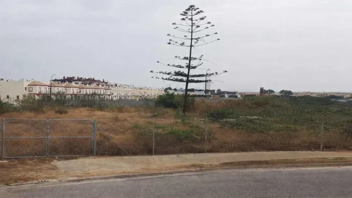 La histórica demanda de los vecinos de El Pino empieza a hacerse realidad con este nuevo parque en San Fernando