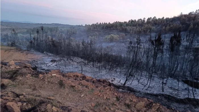 Incendio en Acebo (Cáceres) Estabilizado Tras Afectar 17 Hectáreas
