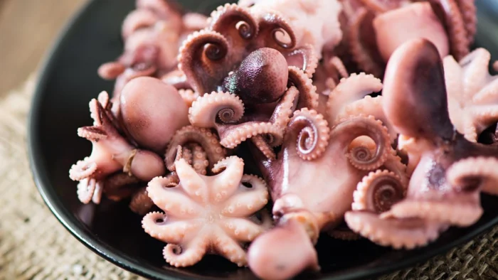 Tres consejos sencillos para limpiar y preparar el pulpo antes de cocinarlo