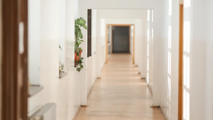 TRANSFORMA TU PASILLO: TRUCOS DE EXPERTOS PARA ESPACIOS MÁS AMPLIOS Y LUMINOSOS