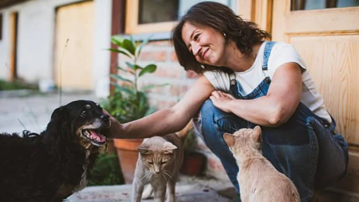 El debate sobre la humanización de las mascotas: ¿Amar mejor o simplemente humanizar?