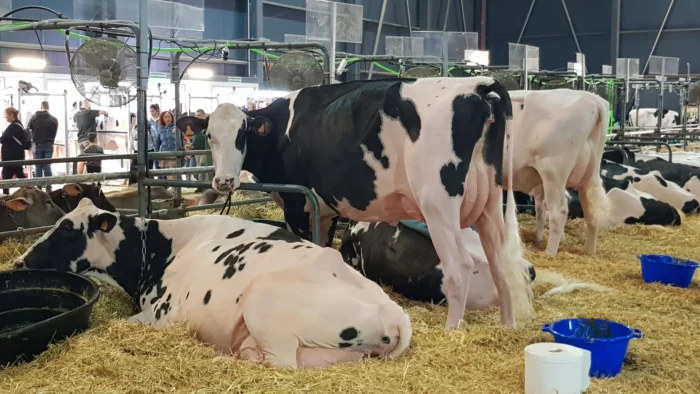 Asturias pierde 9,5 millones de euros de fondos europeos por baja ejecución presupuestaria