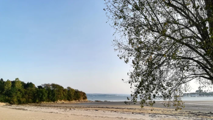 Playas de Ares reciben calificación de “Excelente” para la temporada 2026