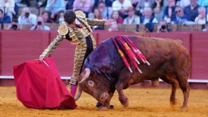 Éxito Ganadero de Santiago Domecq en la Plaza de Toros