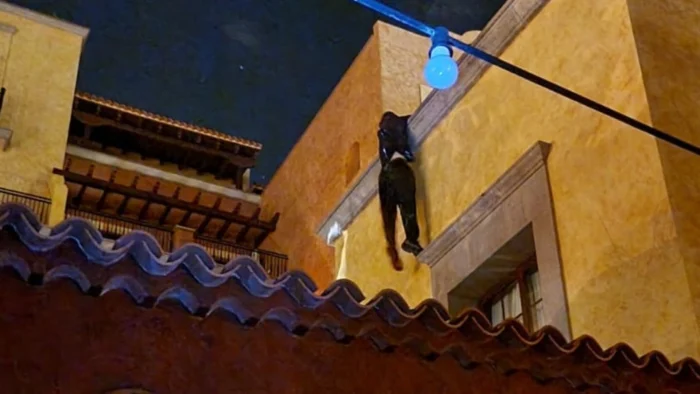 INSEGURIDAD CRECIENTE EN EL SUR DE TENERIFE: ALARMA ENTRE EMPRESARIOS Y TURISTAS