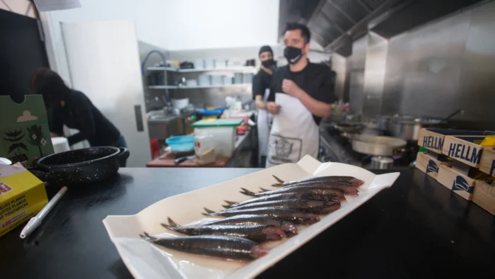 La anchoa se la juega en el mar: así arranca la decisiva Costera del Bocarte en Cantabria