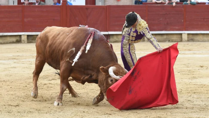 Manuel Diosleguarde avanza en la Copa Chenel tras su actuación en Miraflores de la Sierra