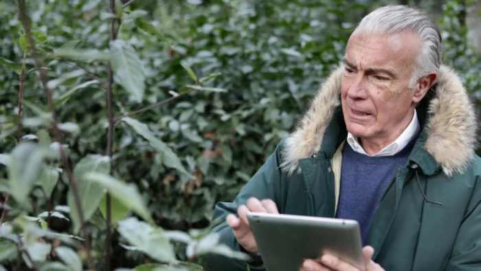 VersedIA: La IA al rescate de las memorias familiares en España