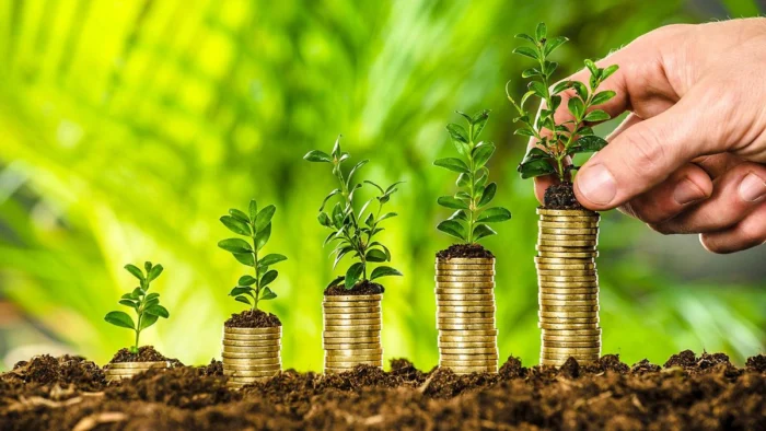 España Revive la Responsabilidad Social Empresarial tras una Década de Inactividad