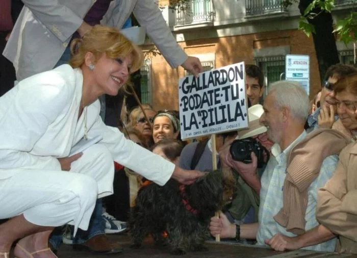 Cuando la baronesa Thyssen se uni&oacute; a los ecologistas para encadenarse a un &aacute;rbol: 20 a&ntilde;os del primer 'no a la tala' en Madrid