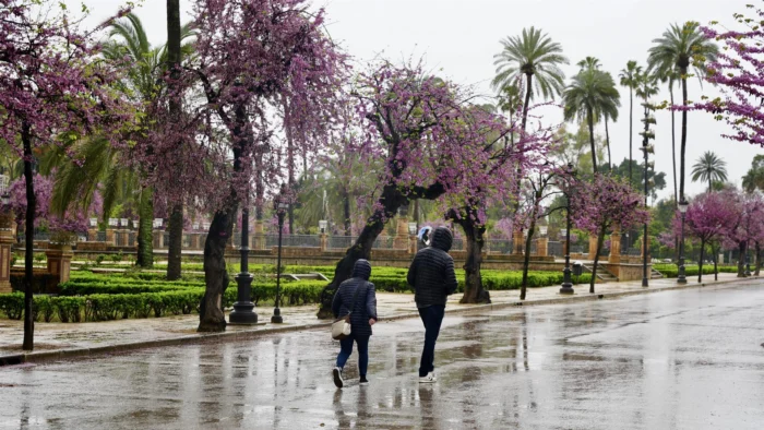 FUERTES LLUVIAS Y TORMENTAS AZOTARÁN ANDALUCÍA ESTE FIN DE SEMANA