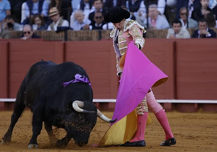 Éxito Ganadero en Sevilla: La Novillada de Talavante Triunfa