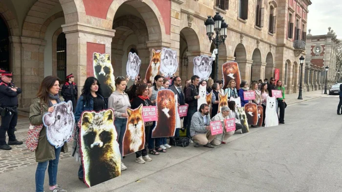 'Acaba con las pieles': el fin de las granjas peleteras llega al Parlament de Catalunya