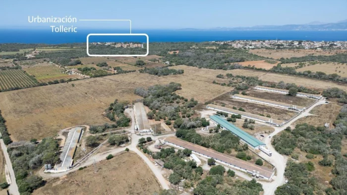 La Justicia reabre el caso contra la "macrogranja de los horrores" de Mallorca por maltrato animal y delito ambiental