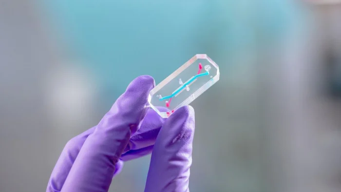 La ciencia de Artemisa II: experimentos para medir el sue&ntilde;o, el estr&eacute;s y los virus latentes en los astronautas