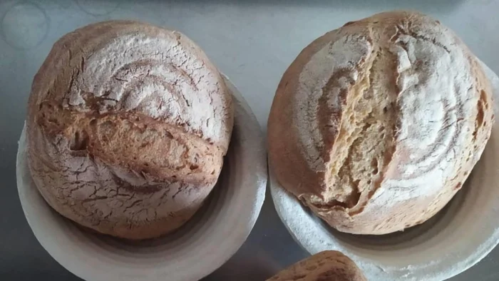 El pan más antiguo del mundo: un hallazgo de 14.000 años en Jordania