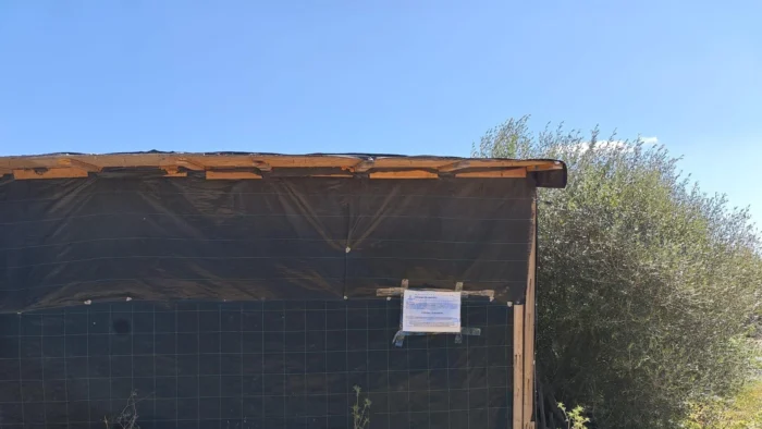 Desalojo inminente en Sa Joveria: Eivissa desmantela un asentamiento ilegal con 130 personas