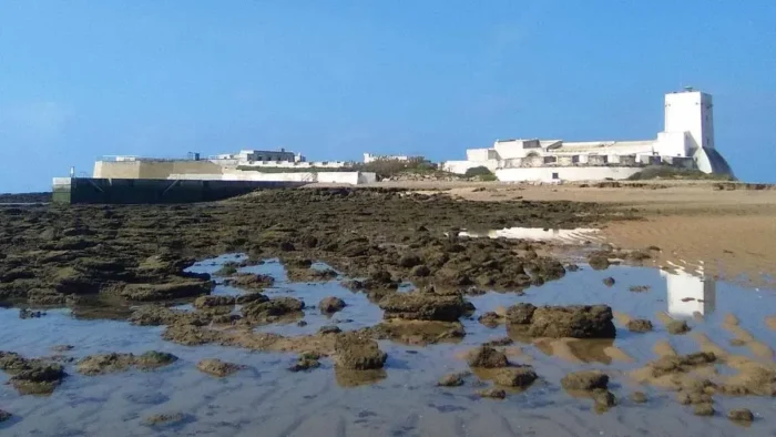 La Junta de Andalucía pone límites en Sancti Petri y cierra el paso, esto necesitarás desde junio para acceder