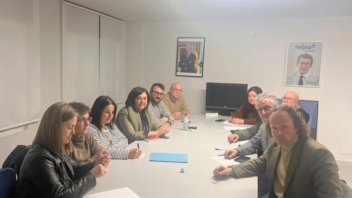 Moción de Censura en Vilalba Tras la Pérdida de Confianza de la Alcaldesa