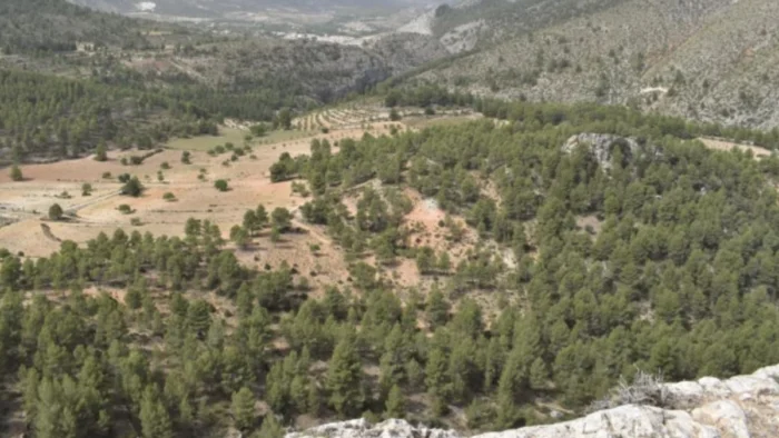 Un asentamiento de la Edad del Hierro en el sureste peninsular aparece arrasado tres veces y los arqueólogos han reconstruido qué ocurrió