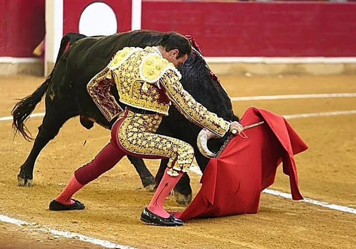 NUEVO TITULO: Revés judicial para la Diputación de Zaragoza en el concurso de la plaza de toros