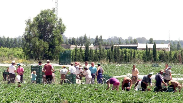 Récord Histórico: Afiliación de Extranjeros a la Seguridad Social Supera los 3,1 Millones